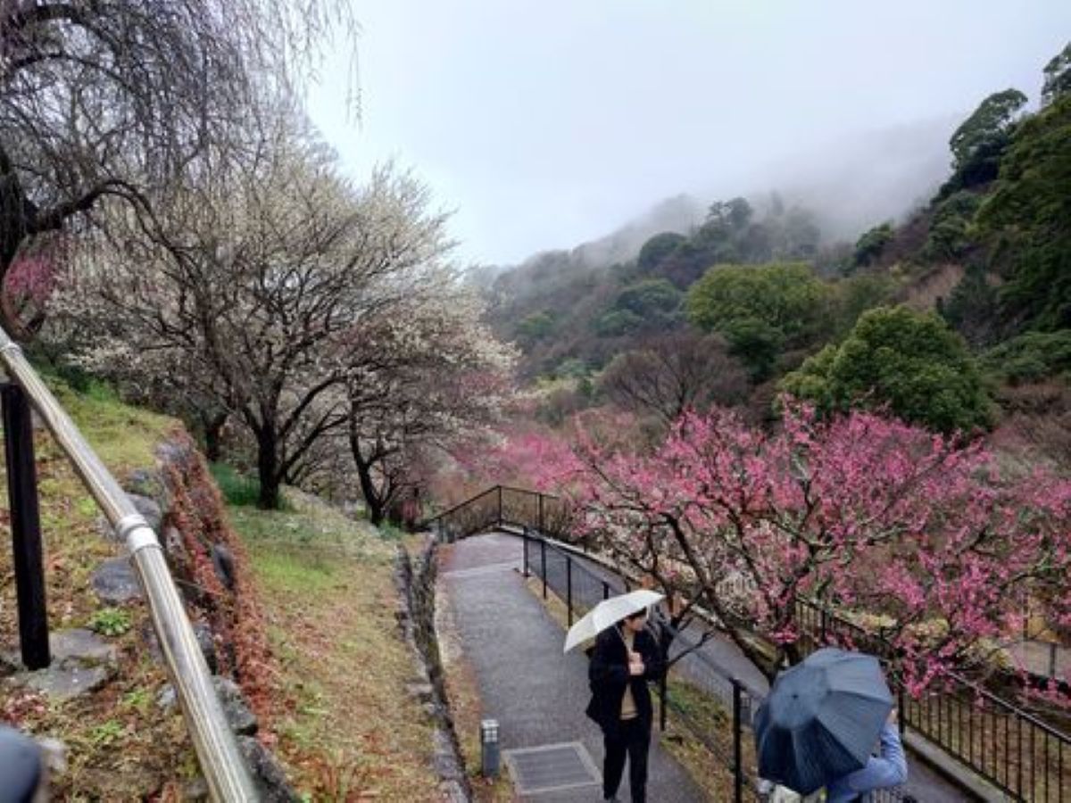 令和6年1月